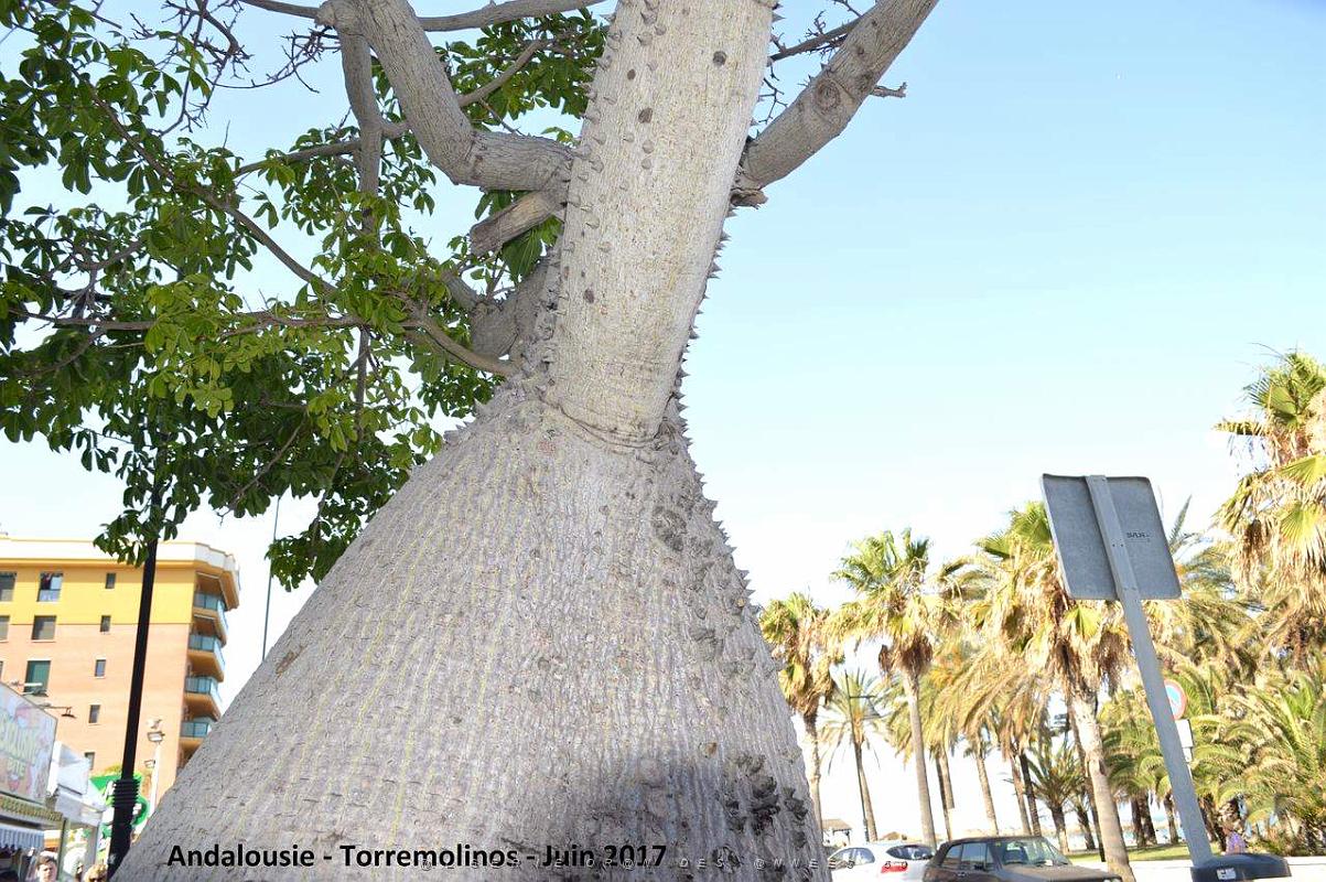 706- Torremolinos .JPG
